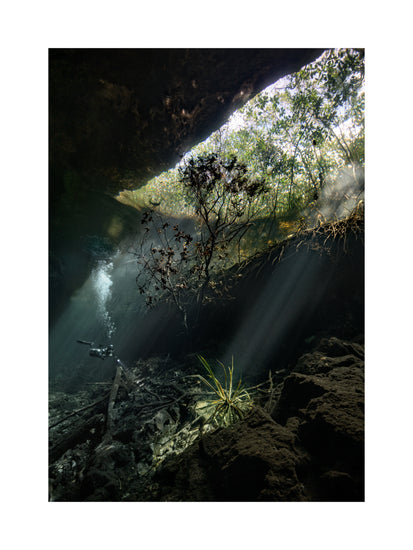 Man diving in a cenote illuminated by the sunlight from the Mexican sun.