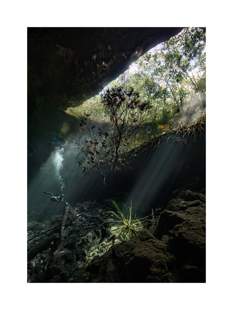 Man diving in a cenote illuminated by the sunlight from the Mexican sun.