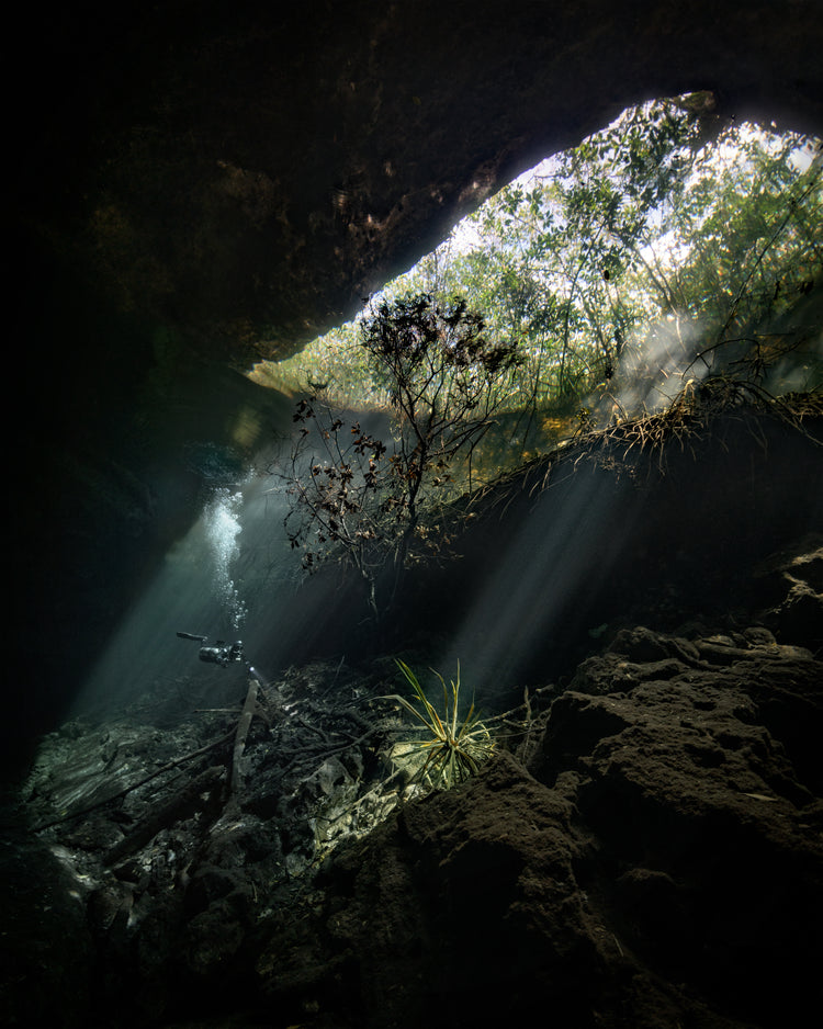 Man diving in a cenote illuminated by the sunlight from the Mexican sun.