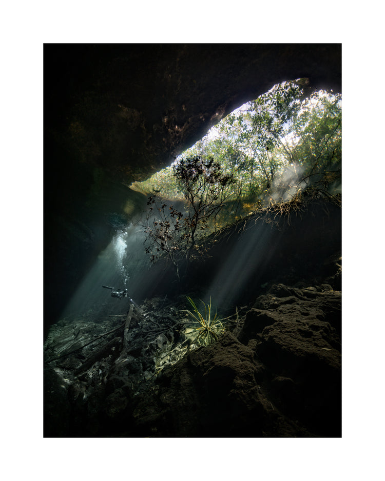 Man diving in a cenote illuminated by the sunlight from the Mexican sun.