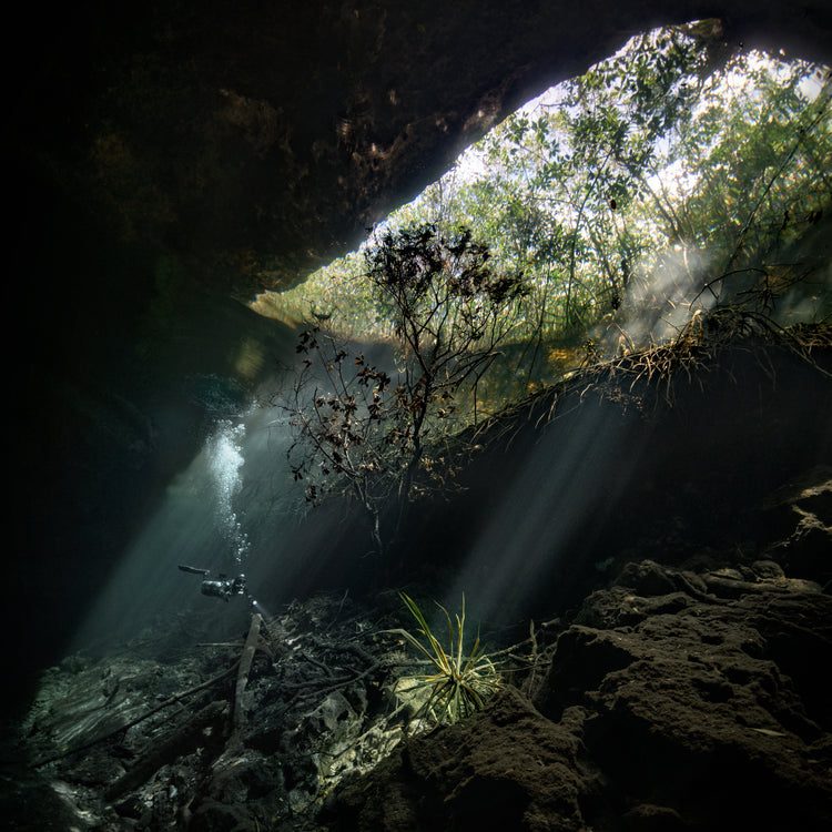 Man diving in a cenote illuminated by the sunlight from the Mexican sun.