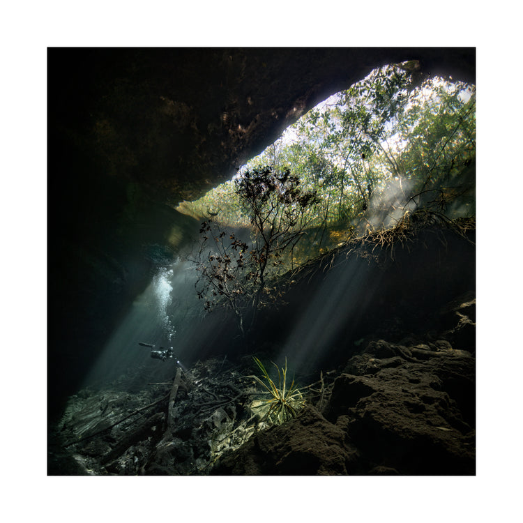 Man diving in a cenote illuminated by the sunlight from the Mexican sun.