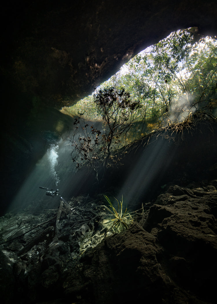 Man diving in a cenote illuminated by the sunlight from the Mexican sun.