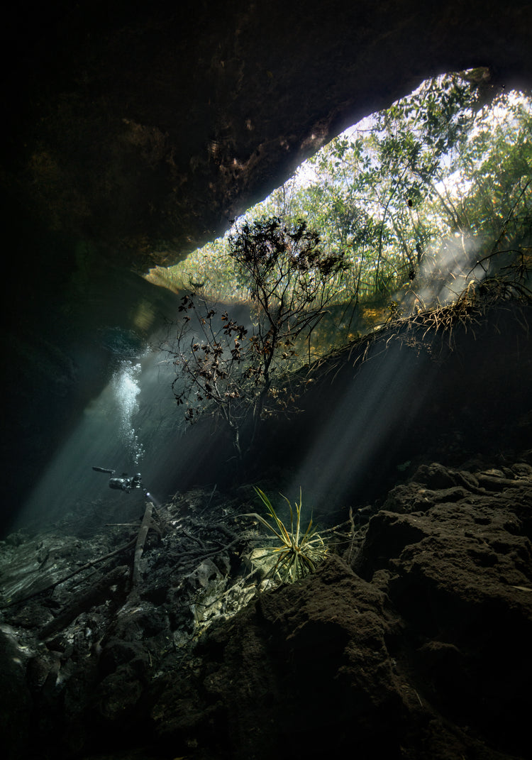 Man diving in a cenote illuminated by the sunlight from the Mexican sun.
