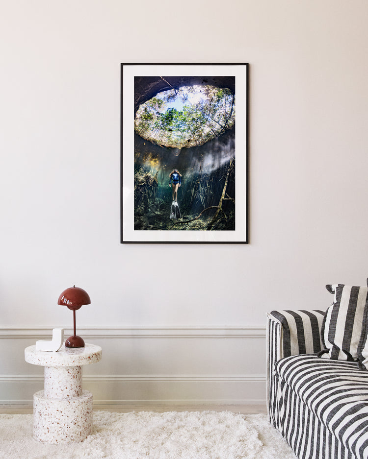 Alice in Wonderland Poster