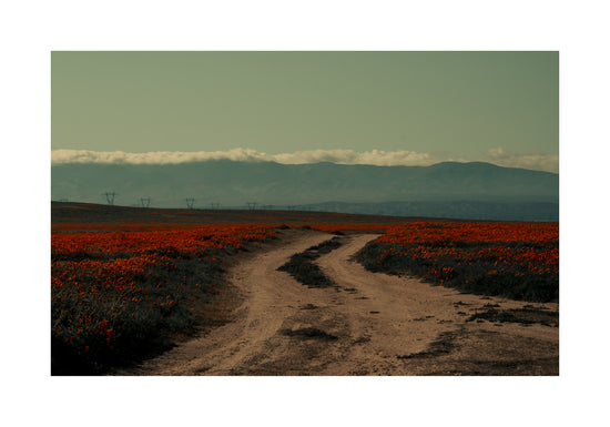Winding road going through a landscape with red poppy fields and high mountains.