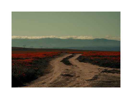 Winding road going through a landscape with red poppy fields and high mountains.