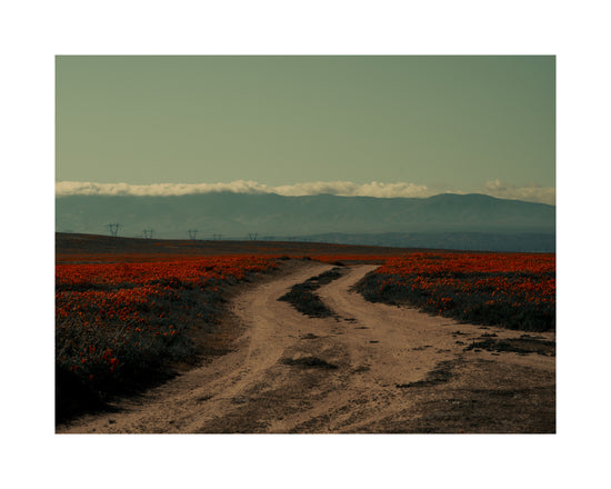 Winding road going through a landscape with red poppy fields and high mountains.