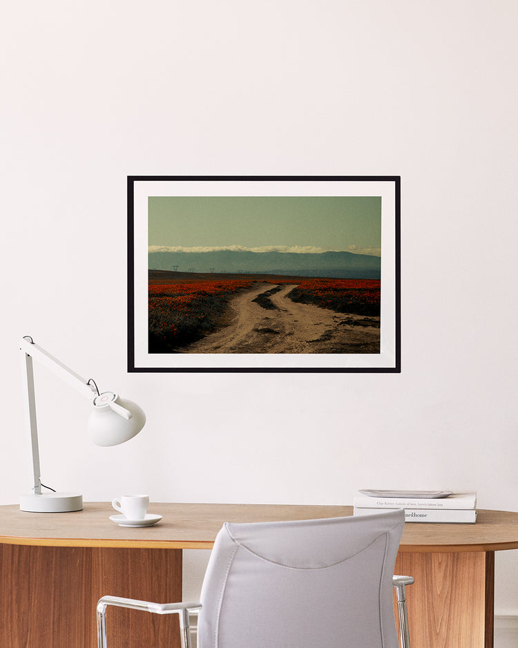 Poppy Road Poster
