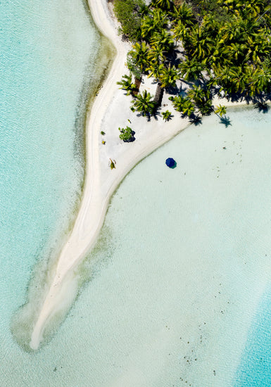 Island with white sand, turquoise ocean and green palm trees captured from above.