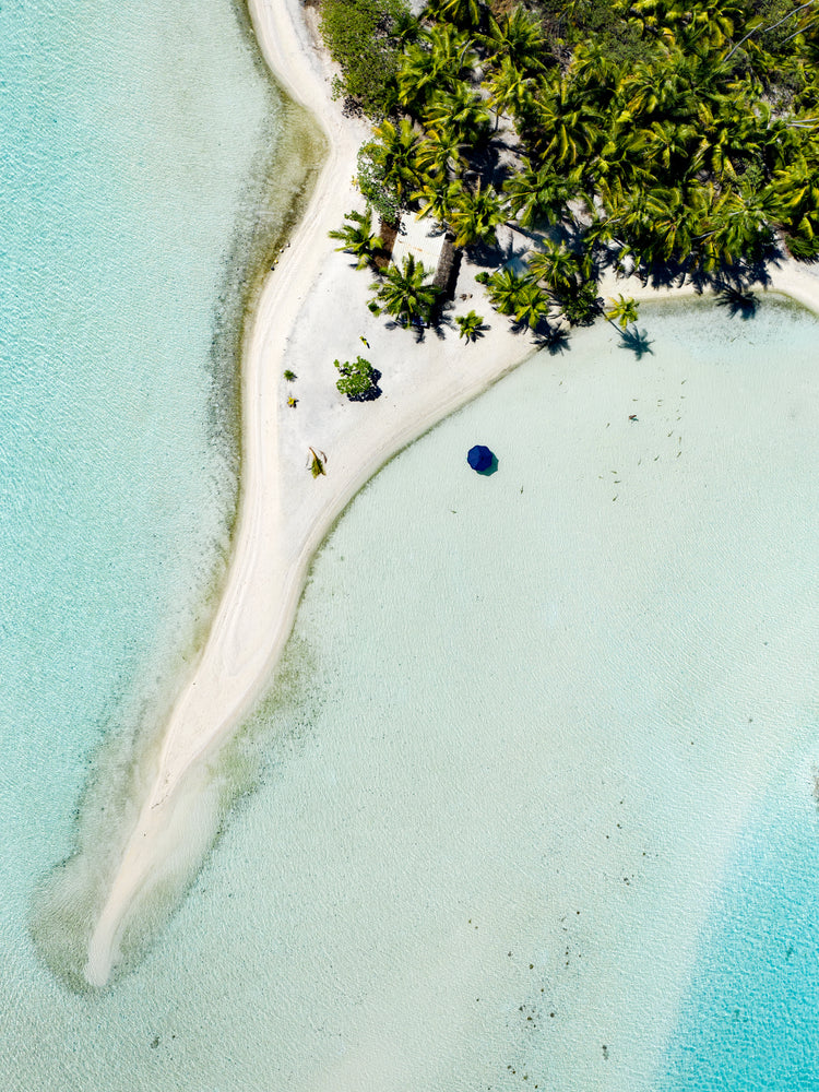 Island with white sand, turquoise ocean and green palm trees captured from above.