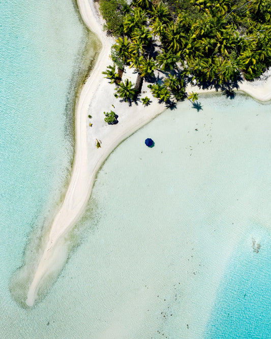 Island with white sand, turquoise ocean and green palm trees captured from above.