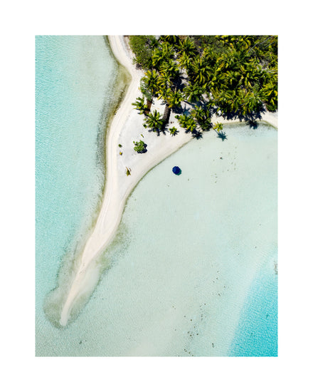 Island with white sand, turquoise ocean and green palm trees captured from above.