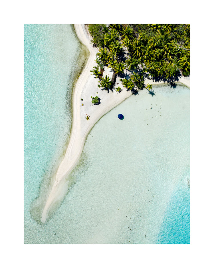 Island with white sand, turquoise ocean and green palm trees captured from above.