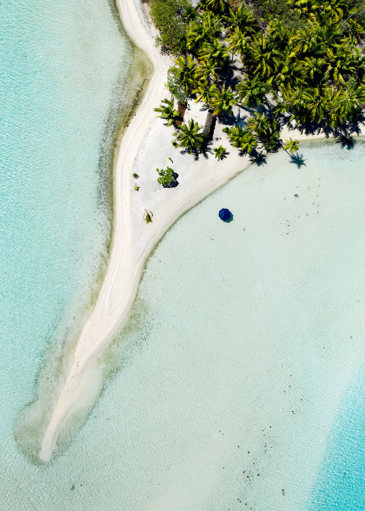 Island with white sand, turquoise ocean and green palm trees captured from above.