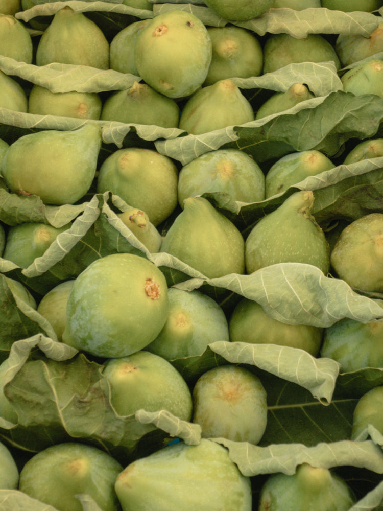 Italian Figs Poster