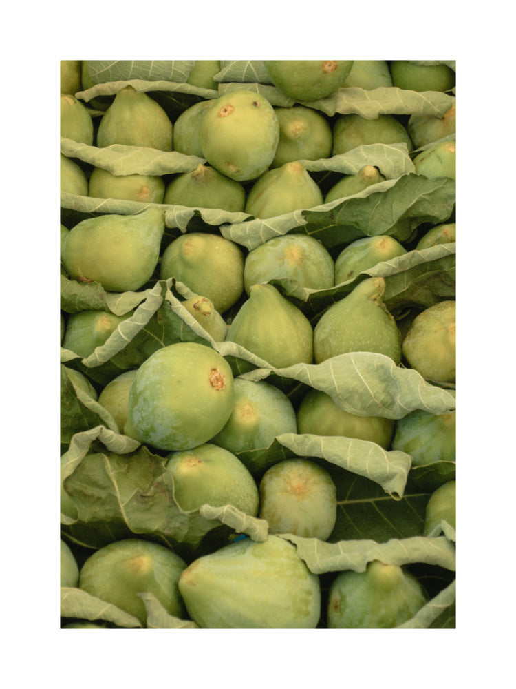 Italian Figs Poster