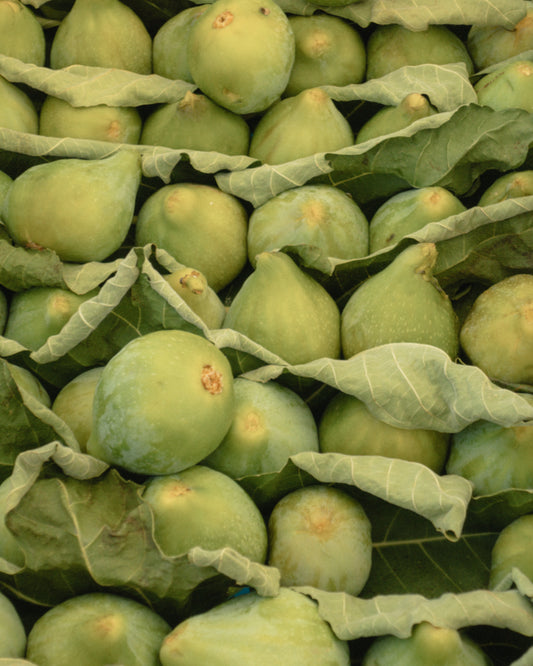 Italian Figs Poster