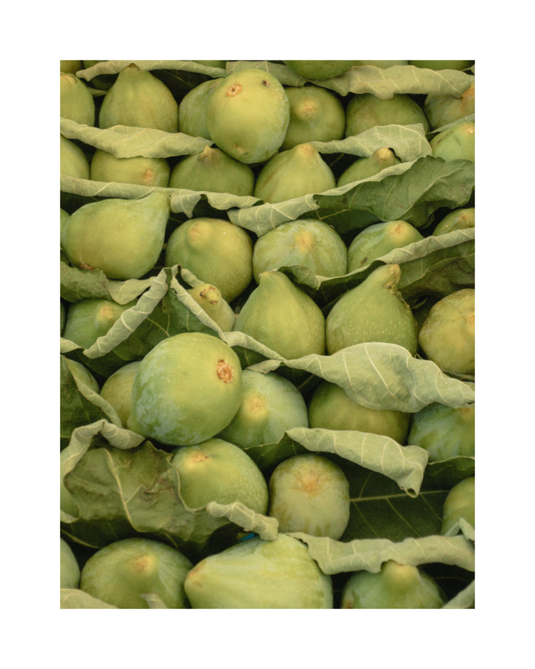 Italian Figs Poster