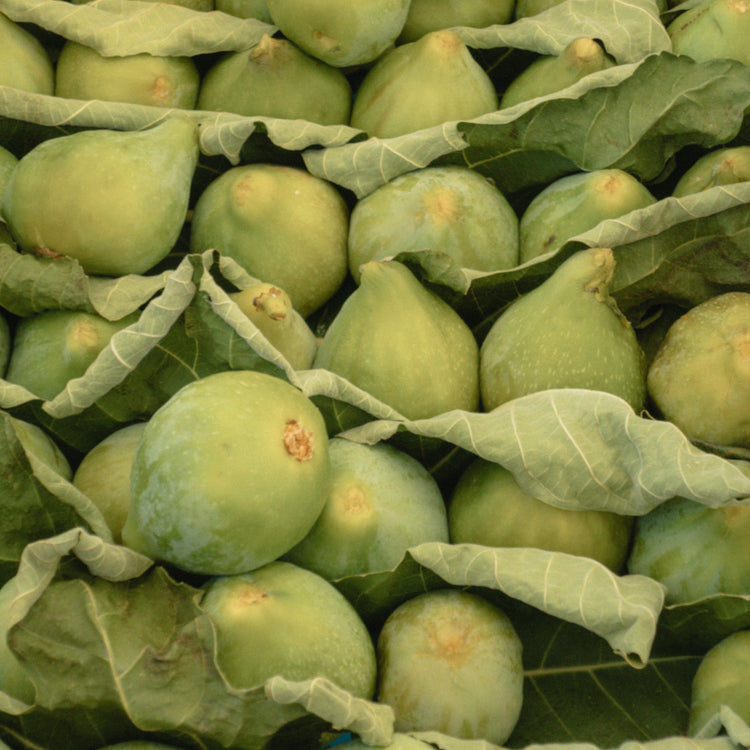 Italian Figs Poster