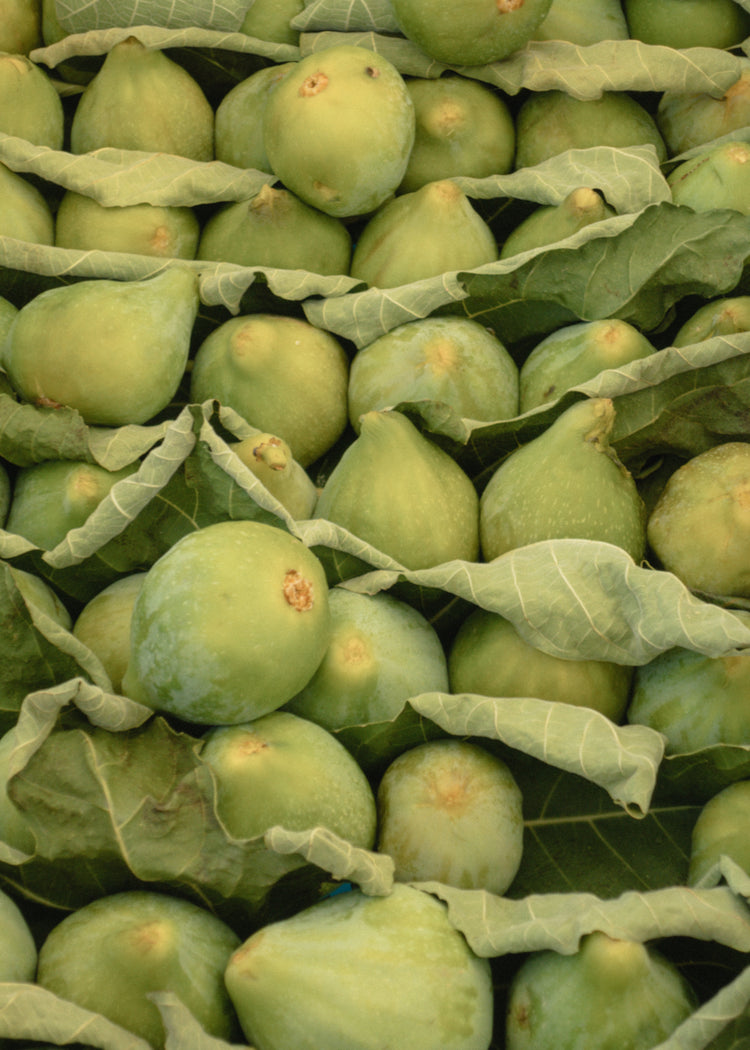 Italian Figs Poster