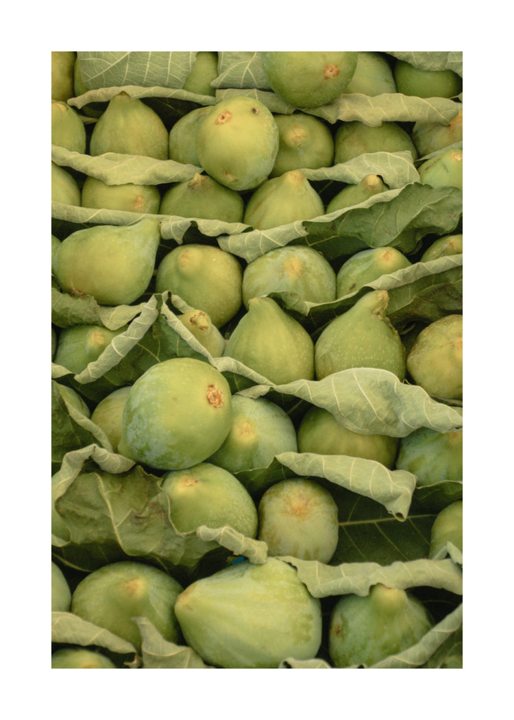 Italian Figs Poster