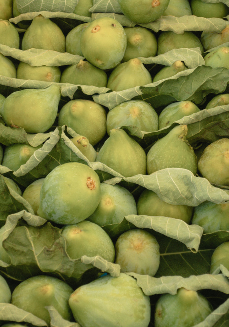 Italian Figs Poster