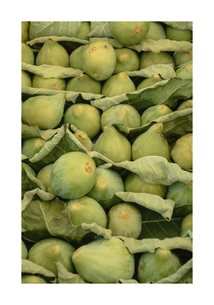 Italian Figs Poster