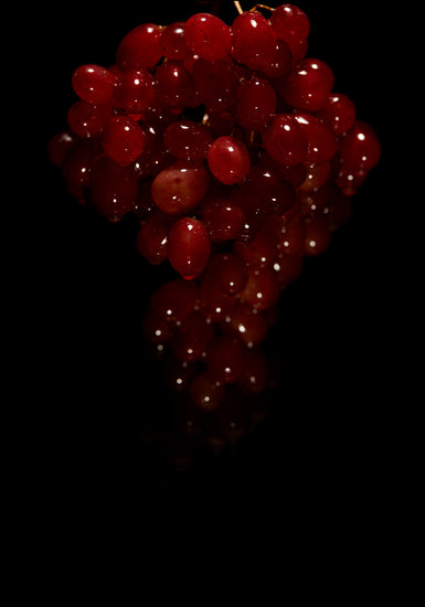 A bunch of shiny and delicious looking grapes on a black background.