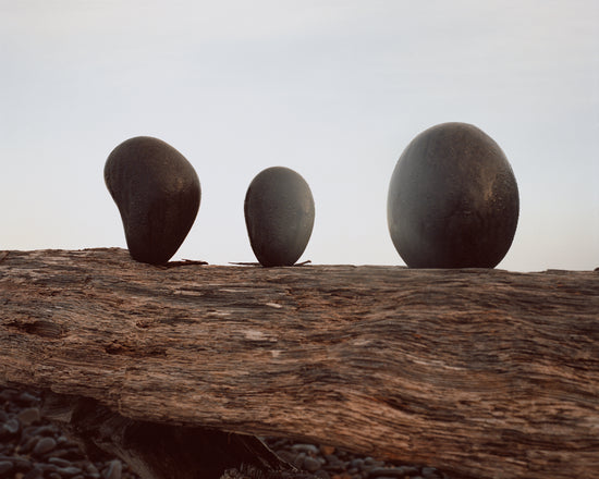 Three stones covered in dew standing on top of a piece of driftwood.