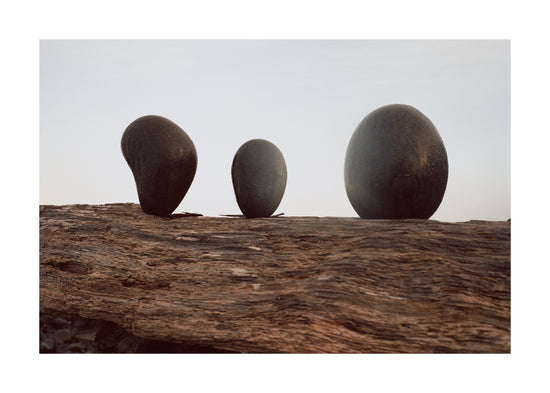 Three stones covered in dew standing on top of a piece of driftwood.