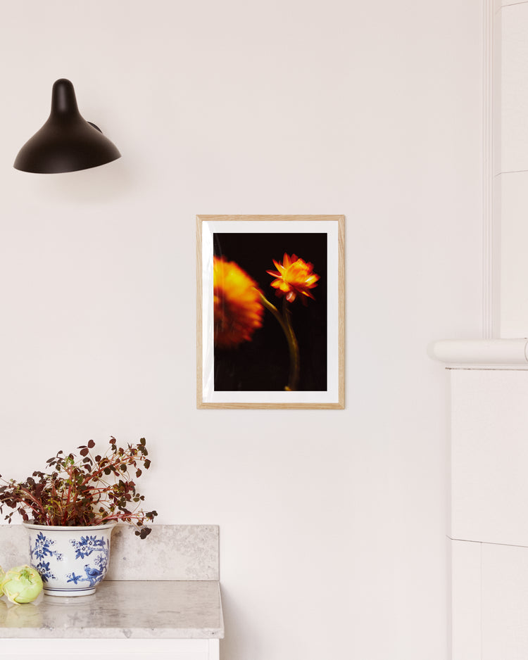 The On Edge Poster, featuring two orange flowers on a black background, hangs on a white wall, exuding intensity. Below it sits a blue and white ceramic pot with green cabbage and red foliage on a marble countertop, illuminated by the glow of a black wall lamp.