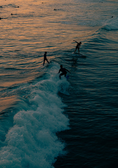 Surfers playing in the last waves of the day as the sun goes down.
