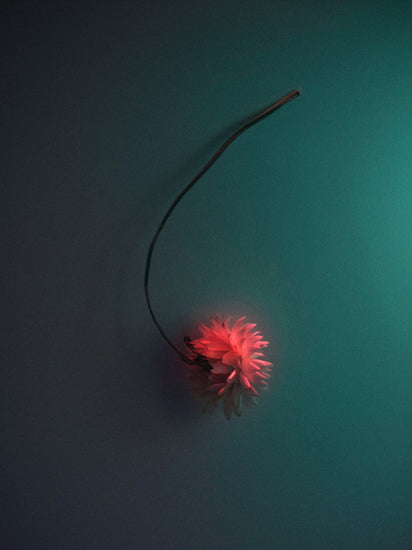 Bright pink flower drifting across a petroleum blue background.