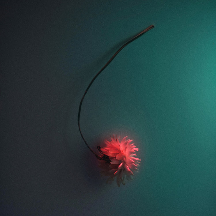 Bright pink flower drifting across a petroleum blue background.