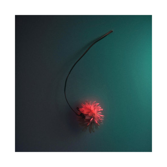 Bright pink flower drifting across a petroleum blue background.