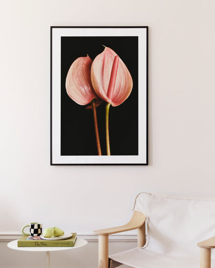In a minimalist living room, the Pink Paraboles Poster featuring two pink anthurium flowers on a black background is displayed. Complementing this are a wooden chair with a white cushion and a small table holding books, a black and white mug, and green apples against softly hued walls.