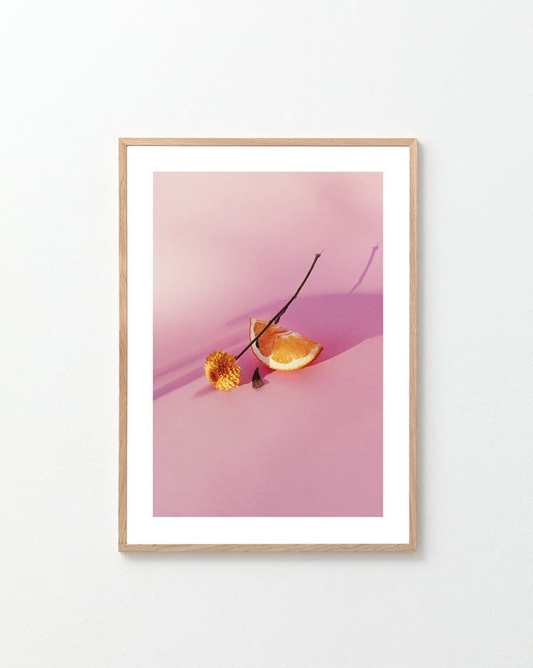 Still life portrait of an orange and a flower on a pink surface.