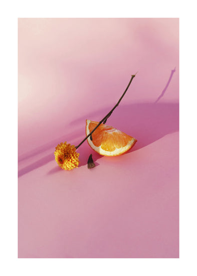 Still life portrait of an orange and a flower on a pink surface.