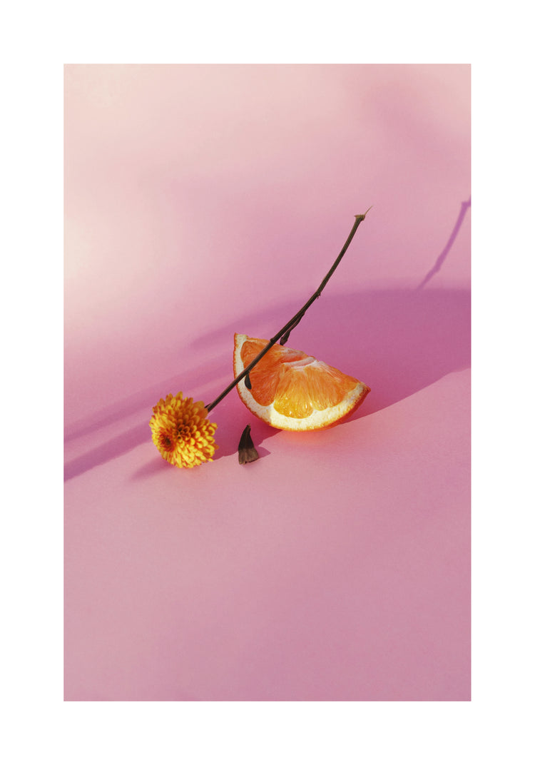 Still life portrait of an orange and a flower on a pink surface.