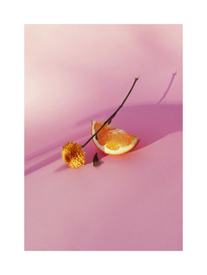 Still life portrait of an orange and a flower on a pink surface.