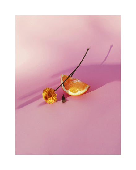 Still life portrait of an orange and a flower on a pink surface.