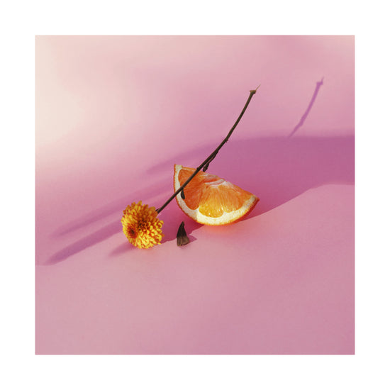 Still life portrait of an orange and a flower on a pink surface.