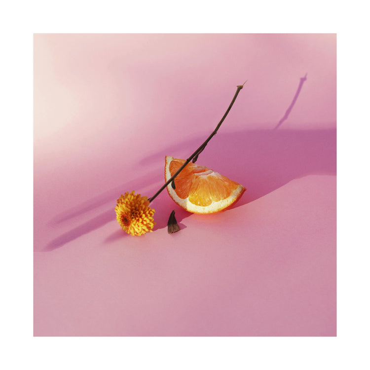 Still life portrait of an orange and a flower on a pink surface.