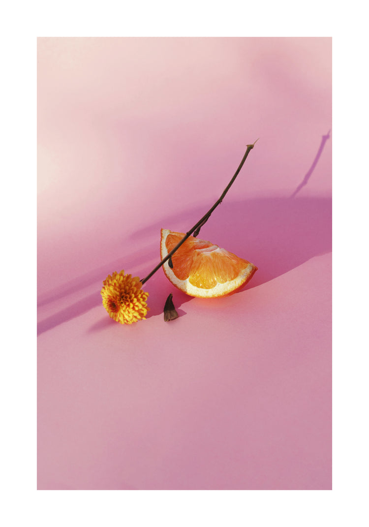 Still life portrait of an orange and a flower on a pink surface.