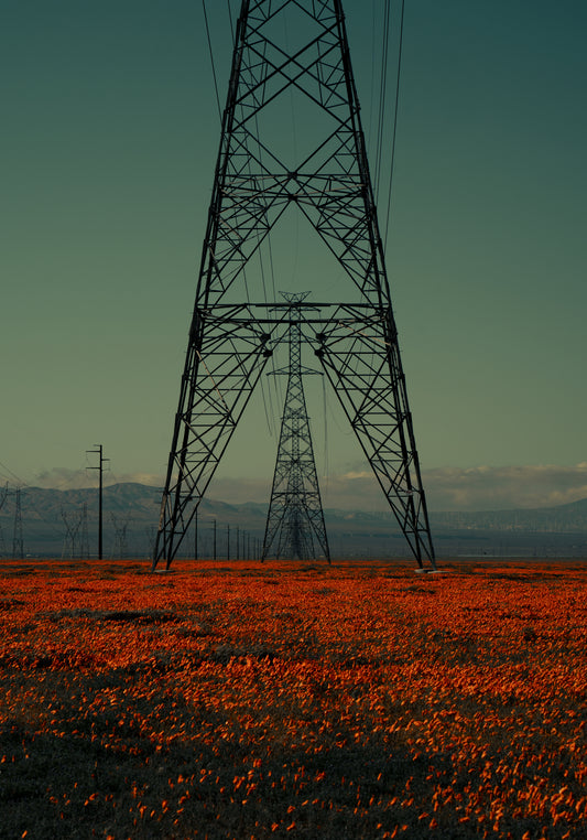 Power line constructions captured from straight ahead standing on a poppy field.