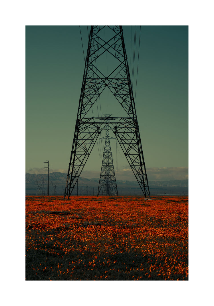 Power line constructions captured from straight ahead standing on a poppy field.