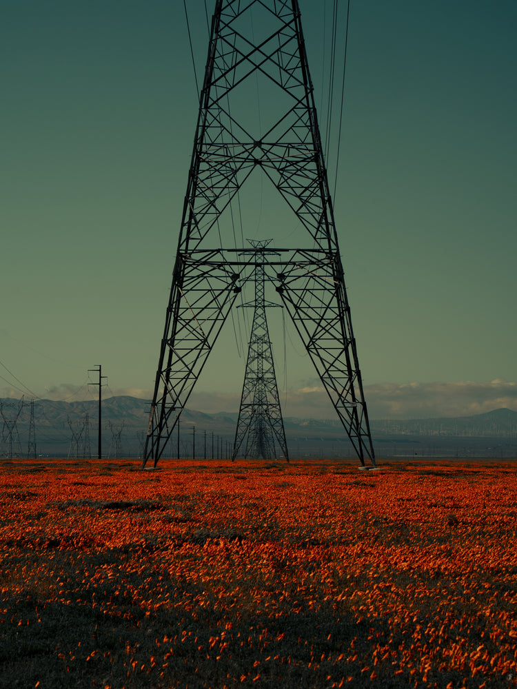 Power line constructions captured from straight ahead standing on a poppy field.