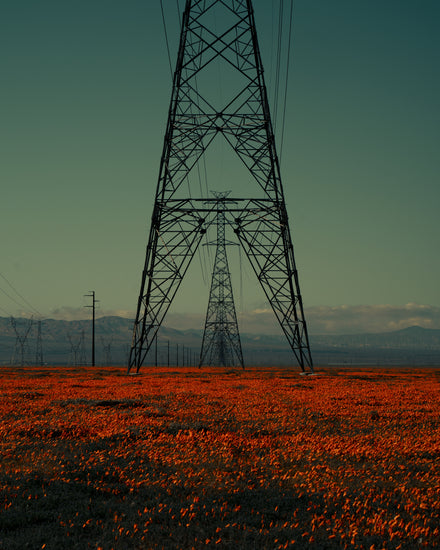 Power line constructions captured from straight ahead standing on a poppy field.