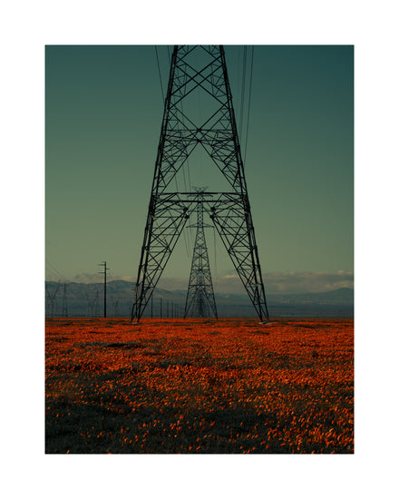 Power line constructions captured from straight ahead standing on a poppy field.